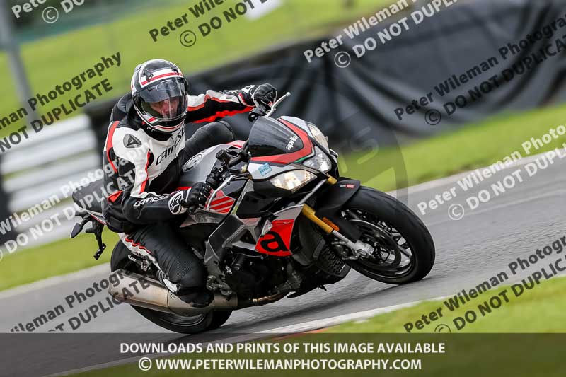 PJ Motorsport 2019;anglesey;brands hatch;cadwell park;croft;donington park;enduro digital images;event digital images;eventdigitalimages;mallory;no limits;oulton park;peter wileman photography;racing digital images;silverstone;snetterton;trackday digital images;trackday photos;vmcc banbury run;welsh 2 day enduro